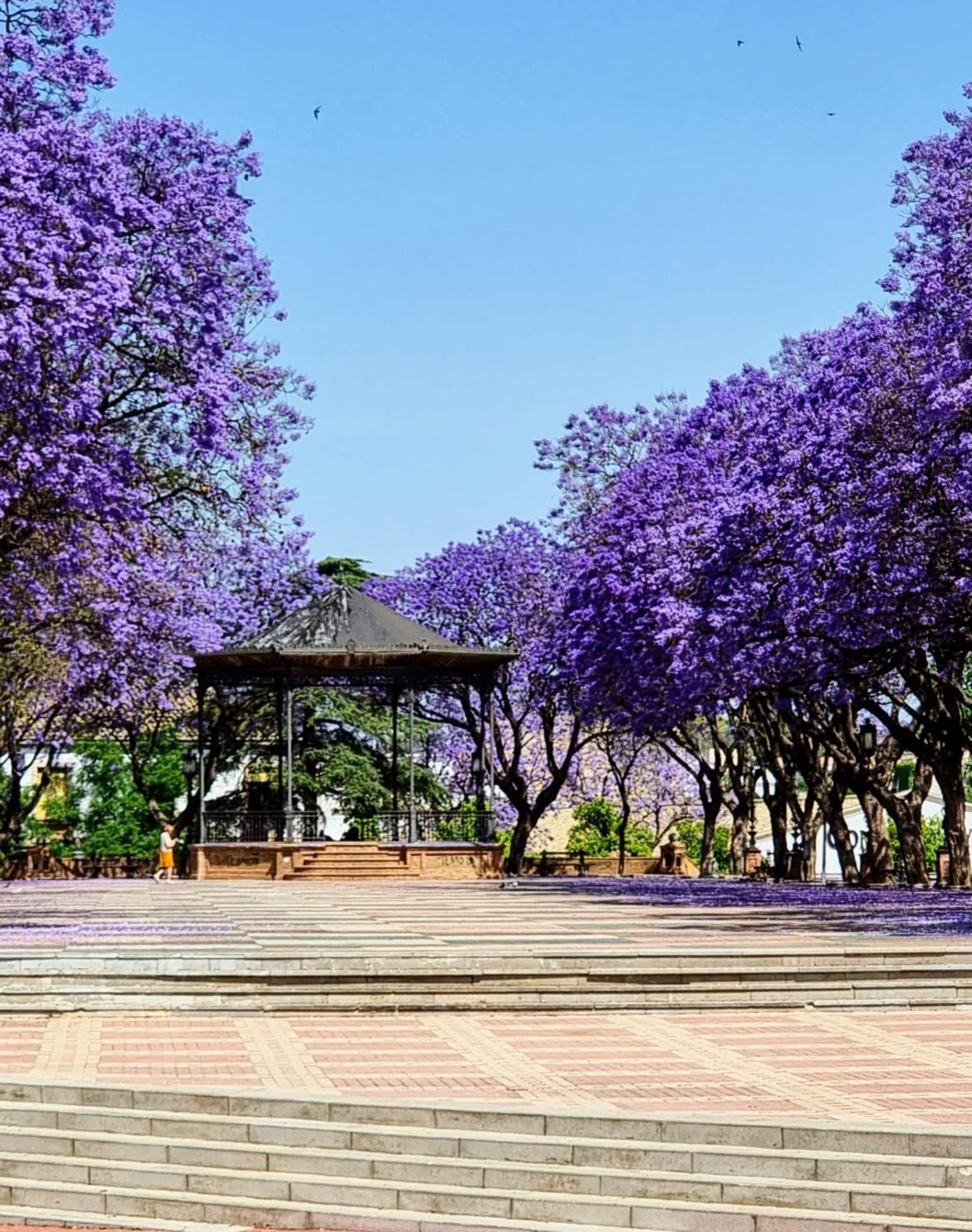 דירות חרז Alazan Jerez Iv-Parking Gratis-Wifi-Netflix מראה חיצוני תמונה