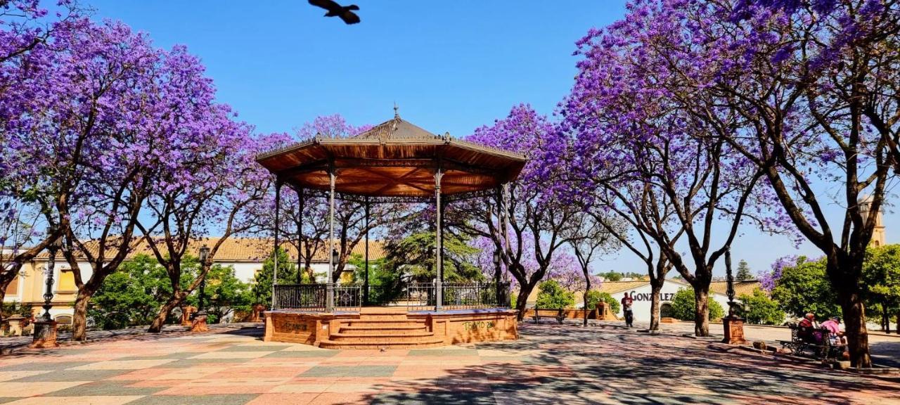 דירות חרז Alazan Jerez Iv-Parking Gratis-Wifi-Netflix מראה חיצוני תמונה